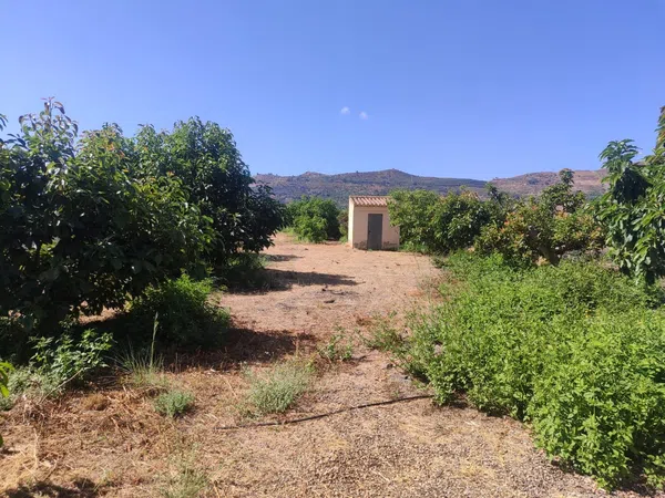 Cortijo en Cortijo en Camino de Río Seco, 36, El Rescate - Río Seco, El Rescate - Río Seco - Foto 22