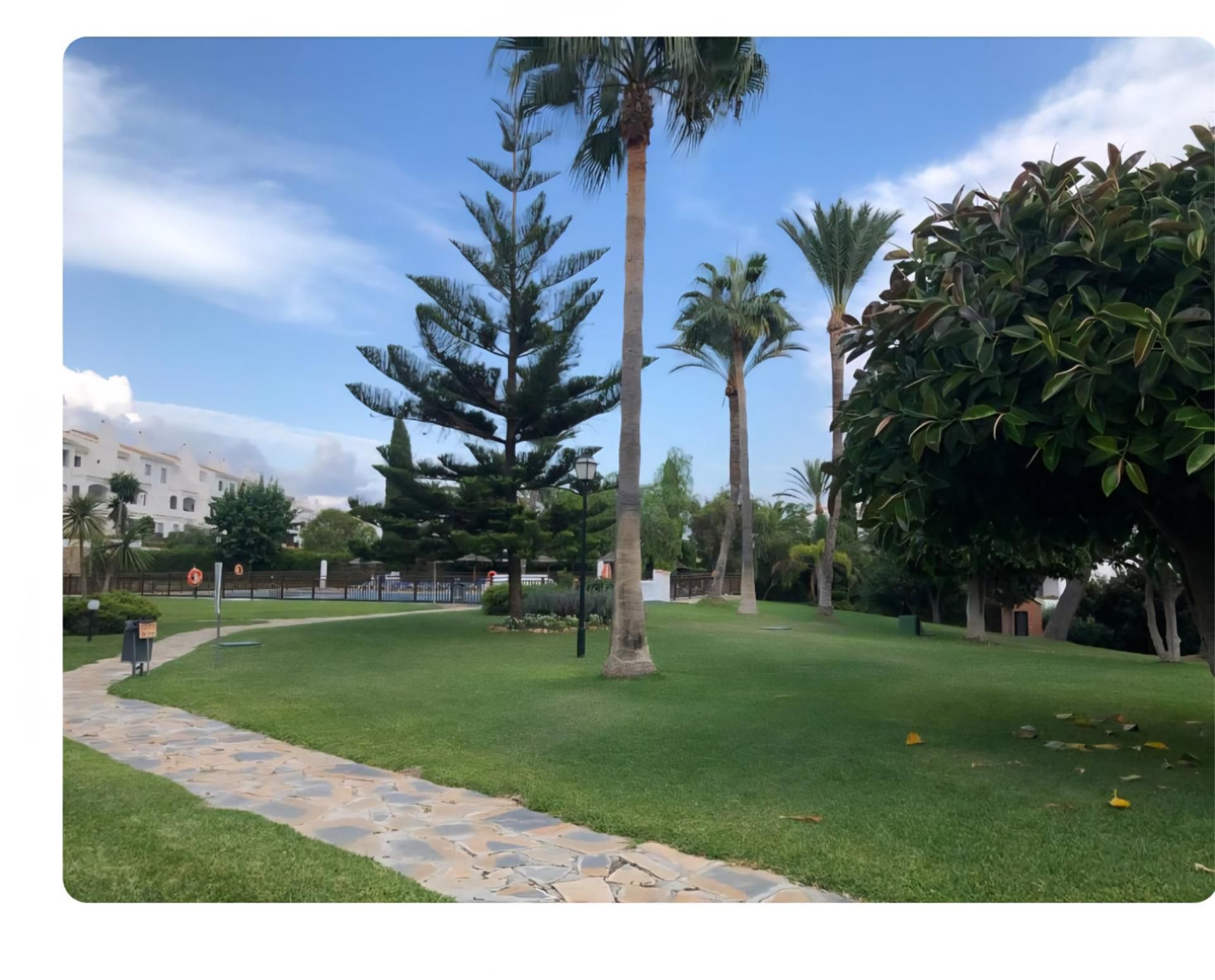 Ático en  Calle los Gladiolos 1 - Foto 6