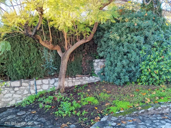 Casa independiente en calle Los Jazmines, 4 - Foto 21