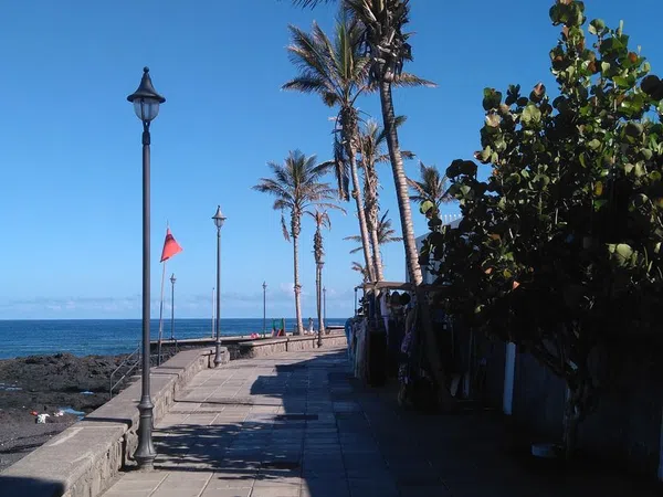 Piso en Bajamar-Punta del Hidalgo, Bajamar-Punta del Hidalgo - Foto 17