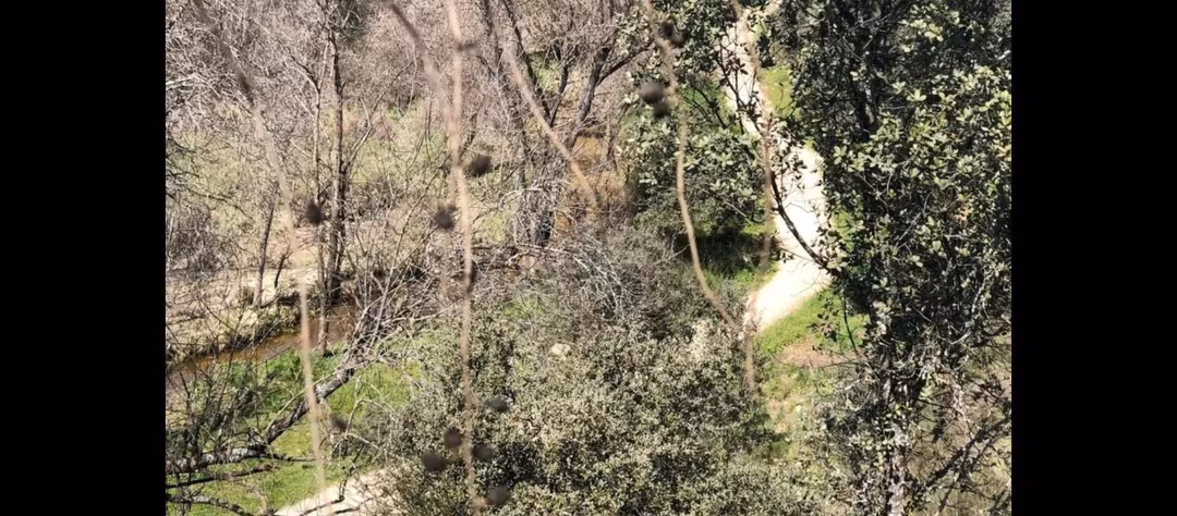 Finca rústica en  M-505 10 - Foto 6