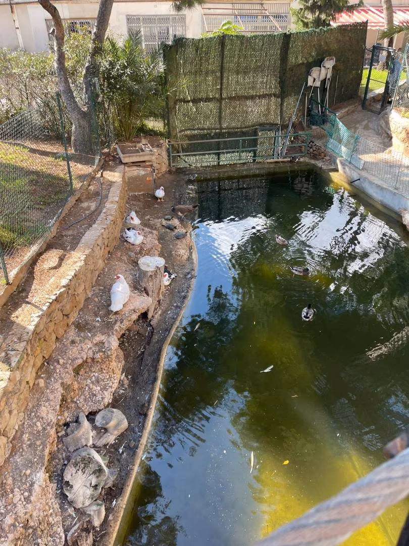 Piso en  Avenida de París 14 - Foto 7