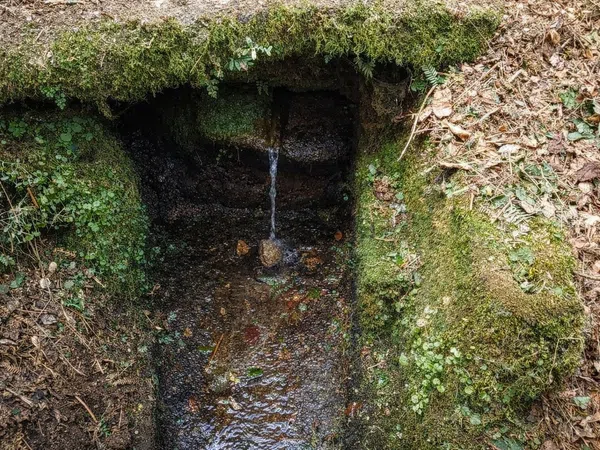 Casa rural en Raxas, 1 - Foto 6