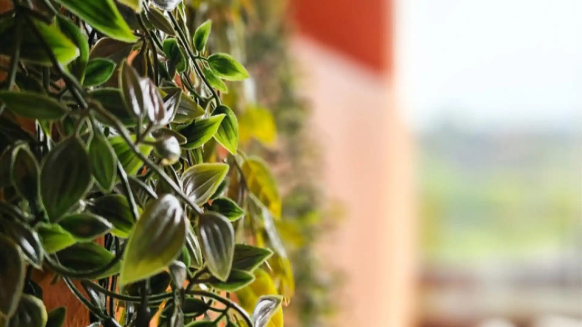 Piso en  Calle Pirineos 5 - Foto 20