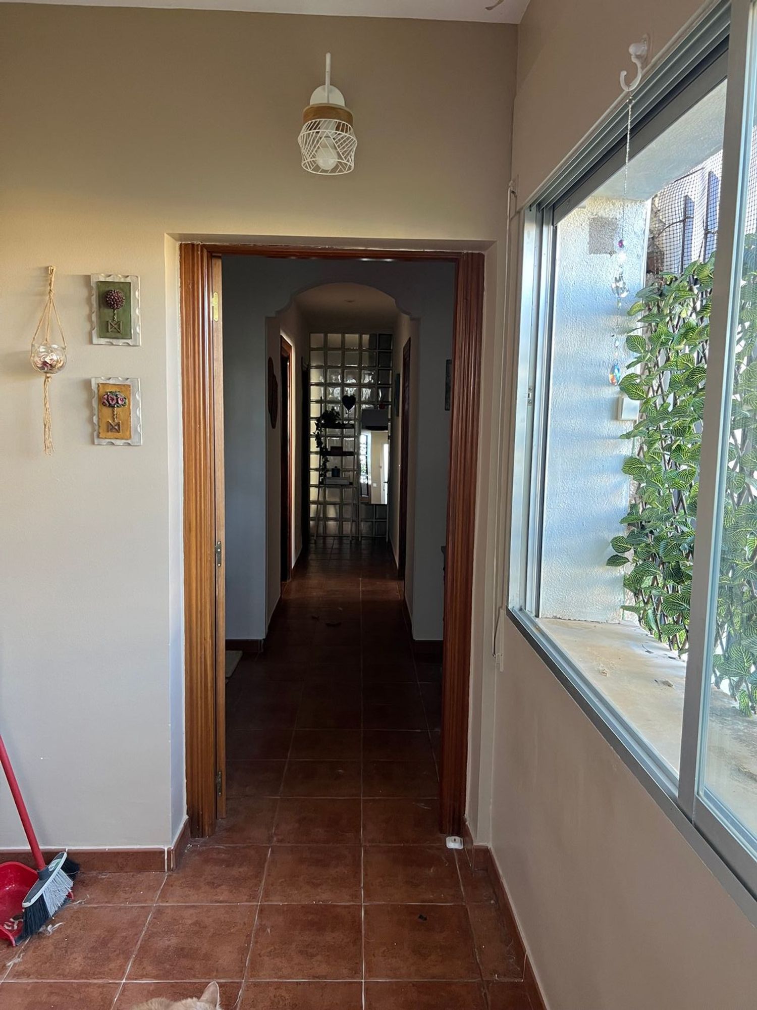 Casa o chalet independiente en Cogolludo - Foto 3