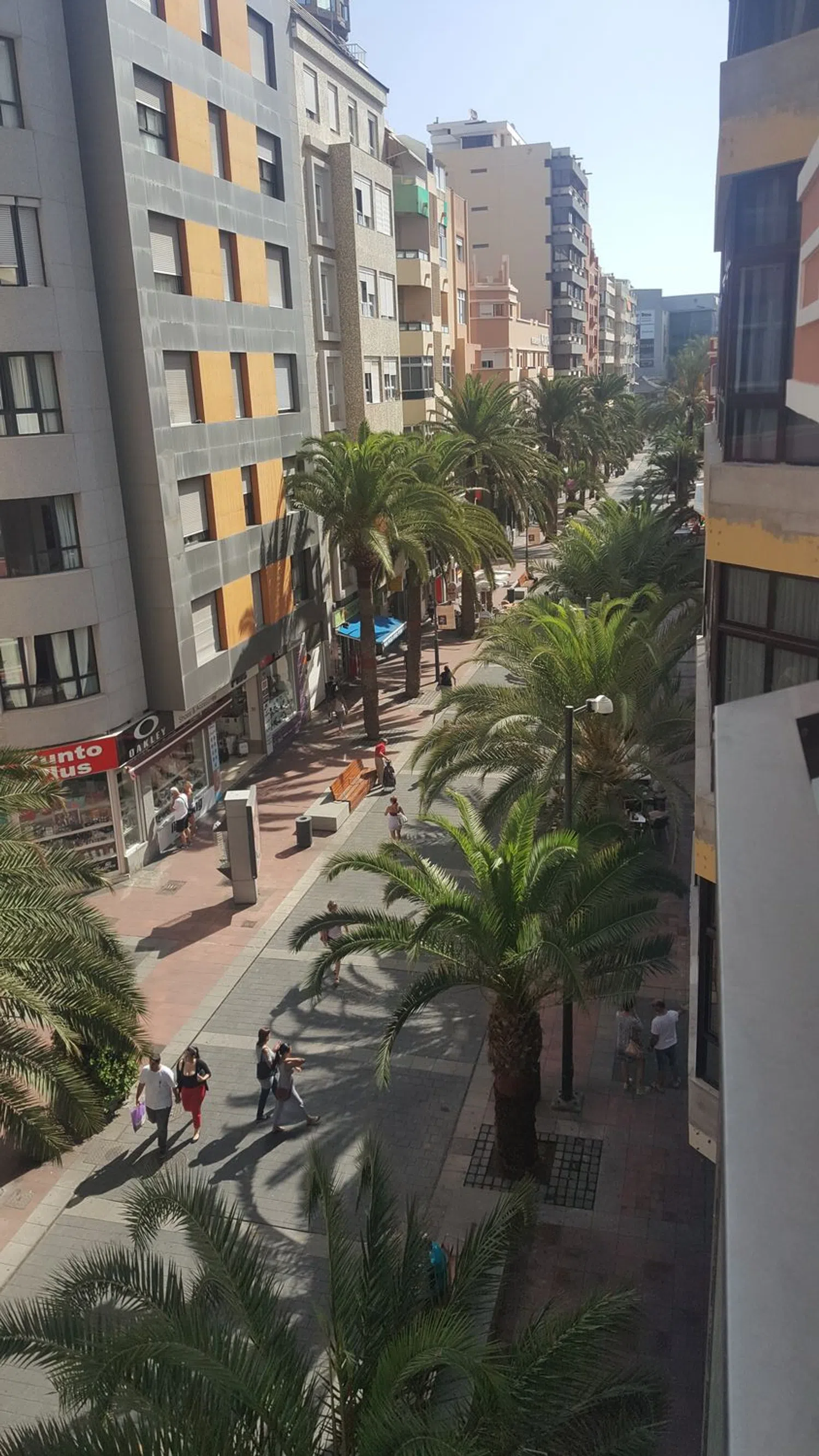 Estudio en calle Luis Morote, 17 - Foto 5