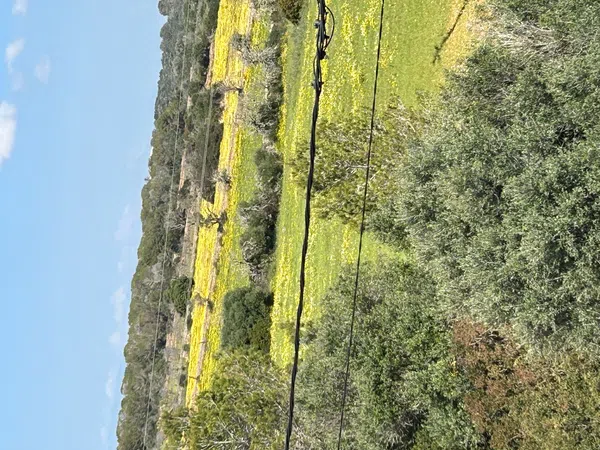 Chalet pareado en calle Falla, 2 a - Foto 34