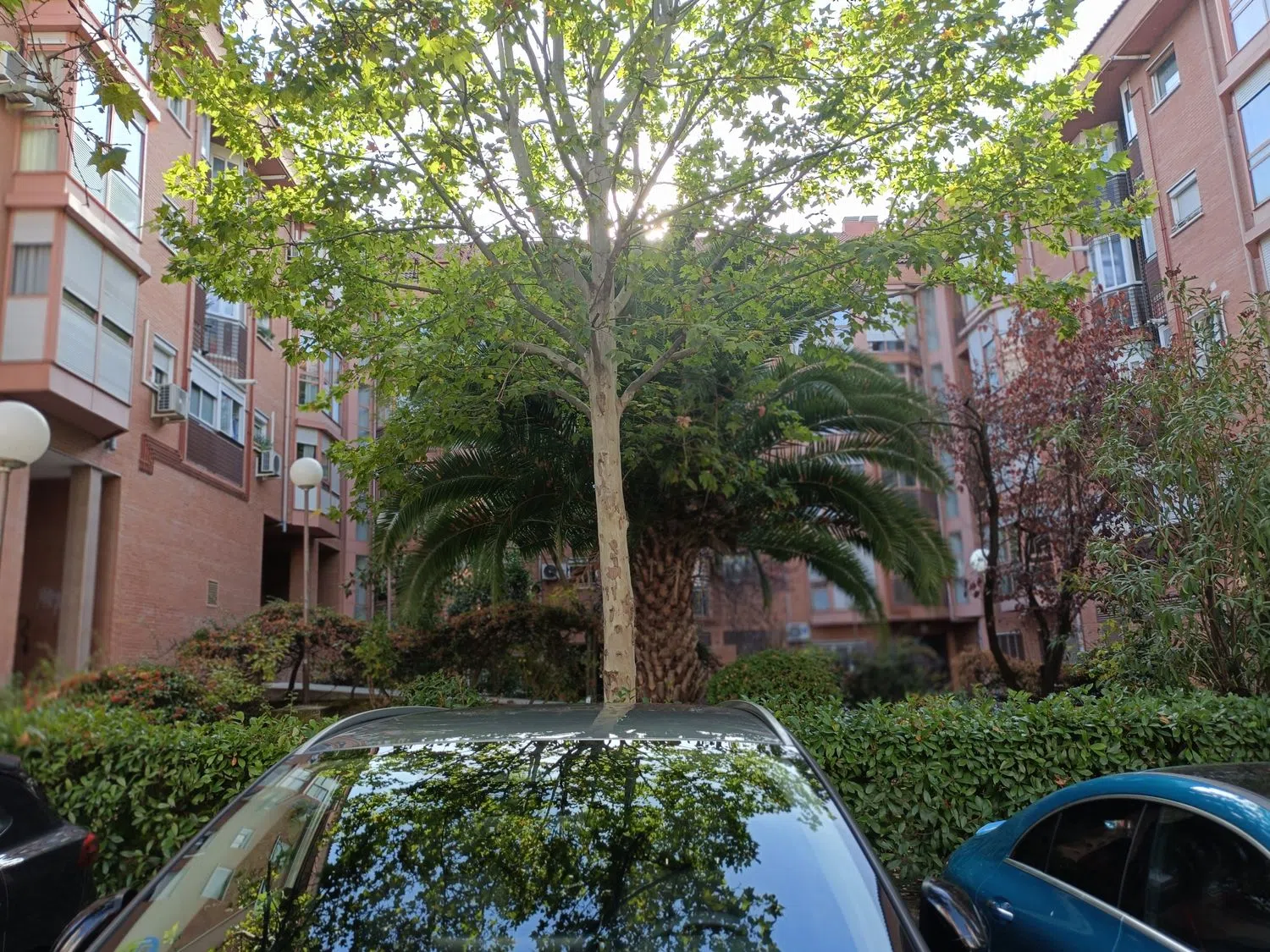 Piso en calle de Candilejas, 54 - Foto 23