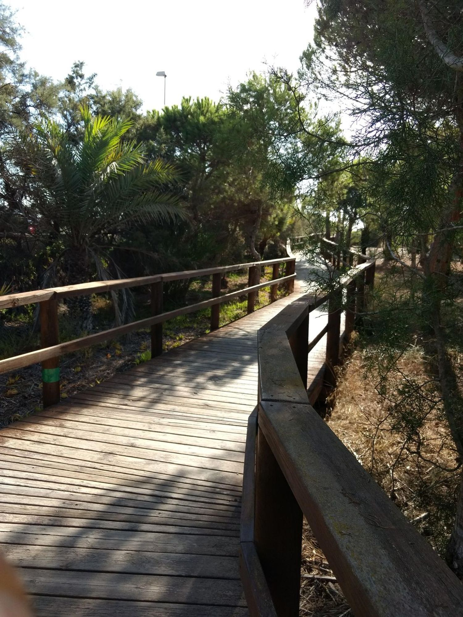 Dúplex en Calle Basilio Paredes, 15, Puerto Deportivo, Puerto Deportivo - Foto 13