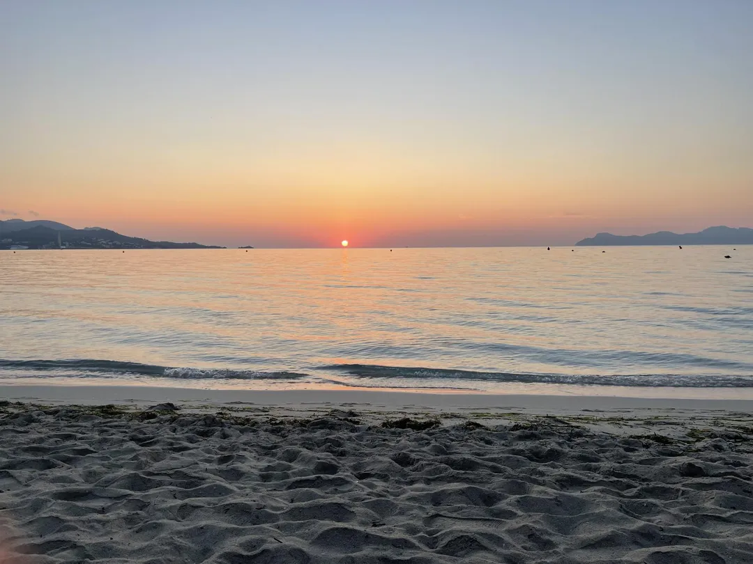 Piso en  Carrer de les Violetes 4 - Foto 1