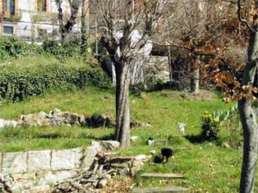 Apartamento en Cercedilla - Foto 1