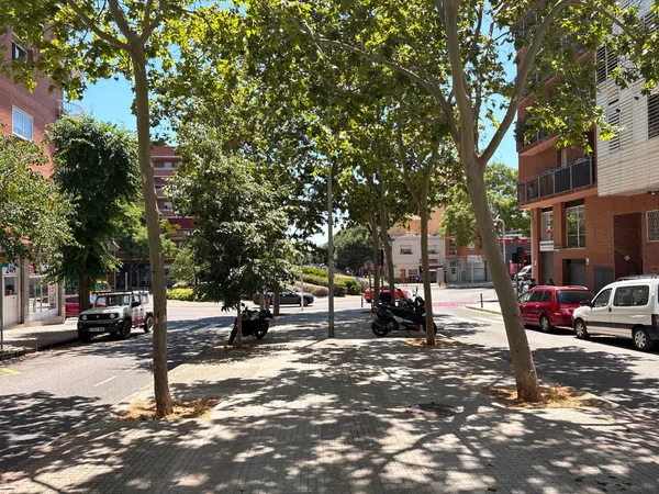 Local en Panadería en Campreciós - Torre Roja, Campreciós - Torre Roja - Foto 36