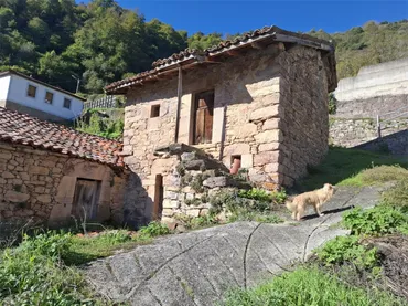 Piso en  Lugar las Viñas 1 - Foto 2