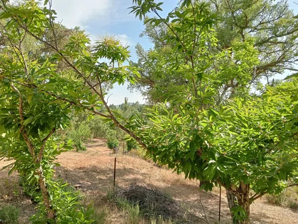 Finca rústica en Hv-3113 s/n - Foto 2