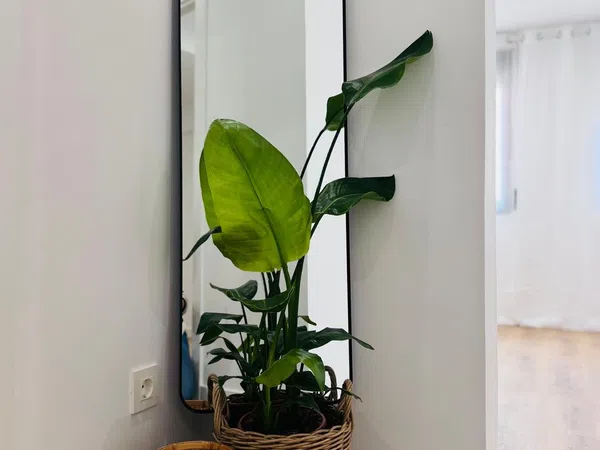 Piso en Calle Iparragirre, 3 - Foto 9