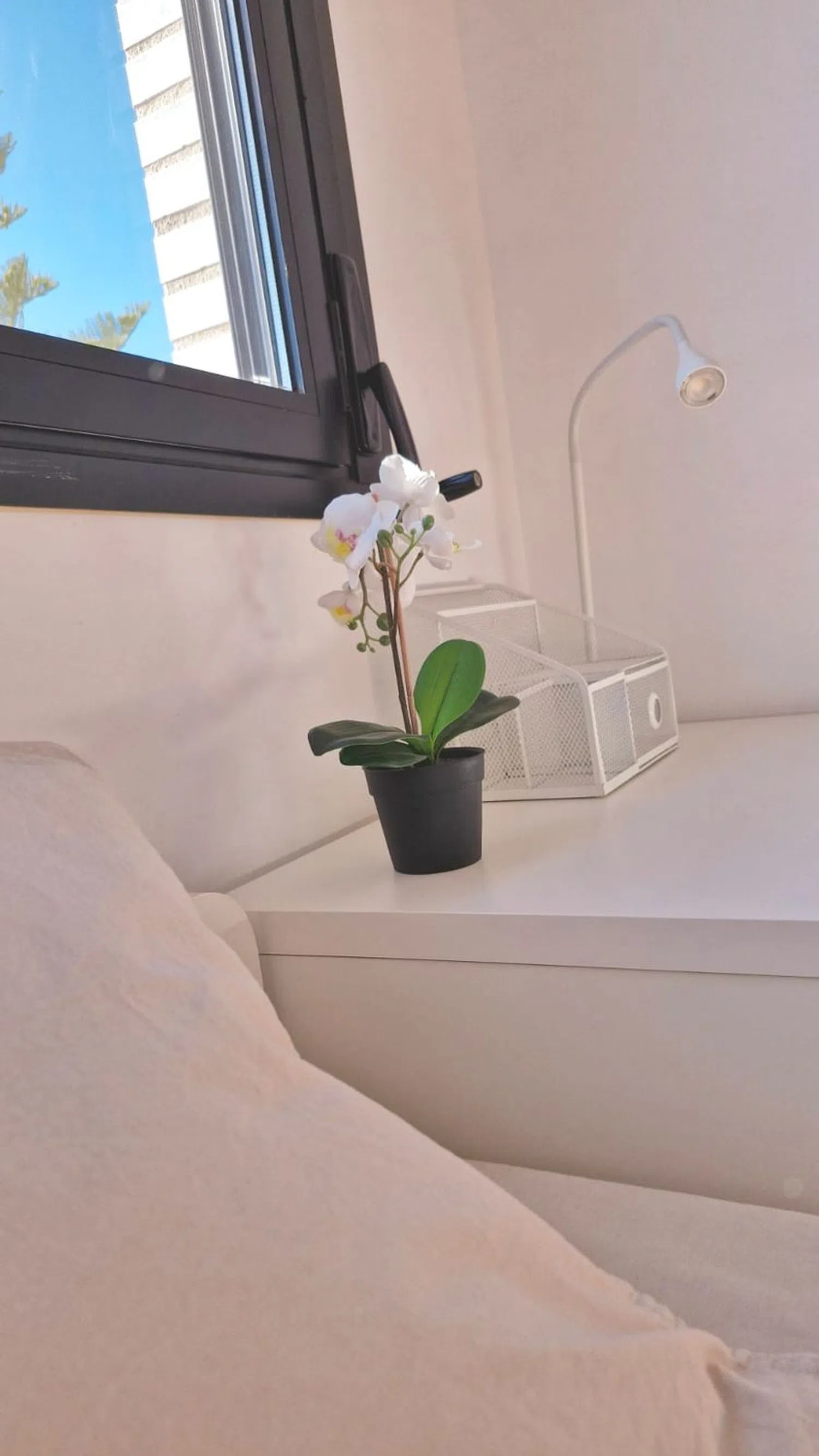 Piso en calle del Doctor Vicent Zaragoza, 95 - Foto 9