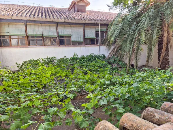 Casa o chalet independiente en Calle Agustin Salido, 12 - Foto 13