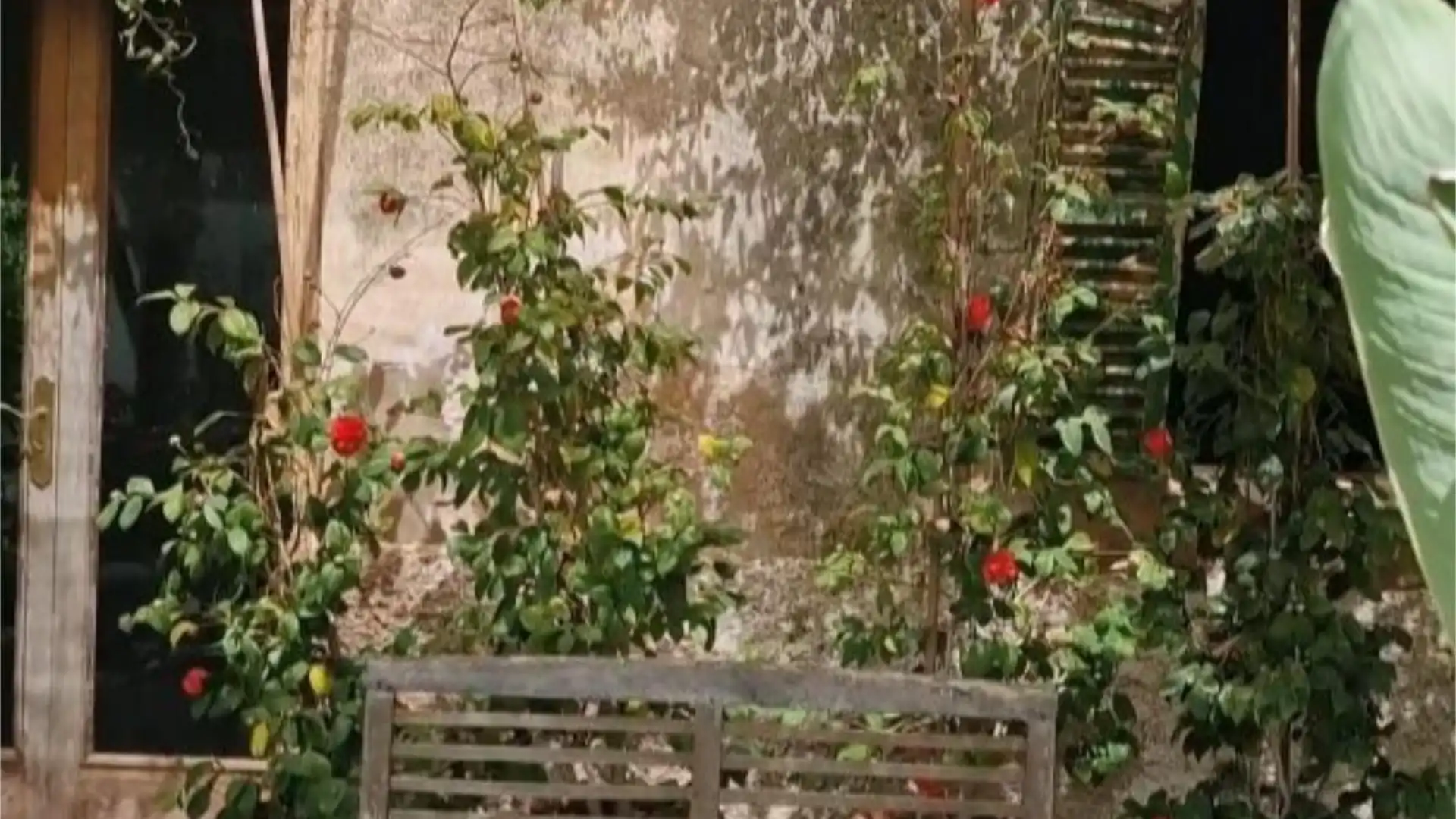 Piso en  Carrer Cortons 22 - Foto 6