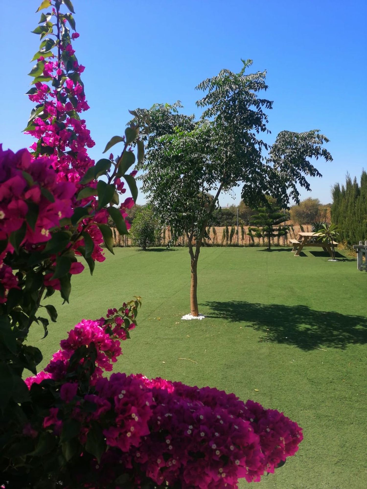 Casa rural en Carril de los Lopez s/n - Foto 3