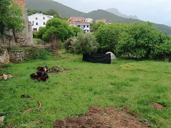 Finca rústica en Poblado Graya, 23 - Foto 8