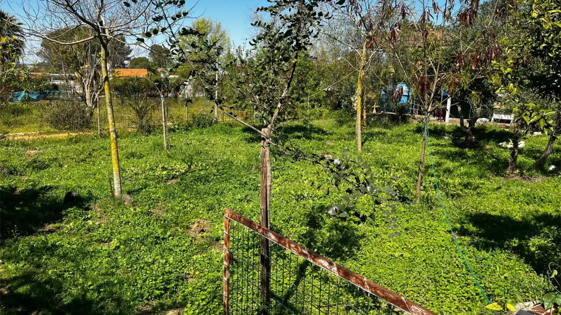 Chalet en Alcalá de Guadaira - Foto 17