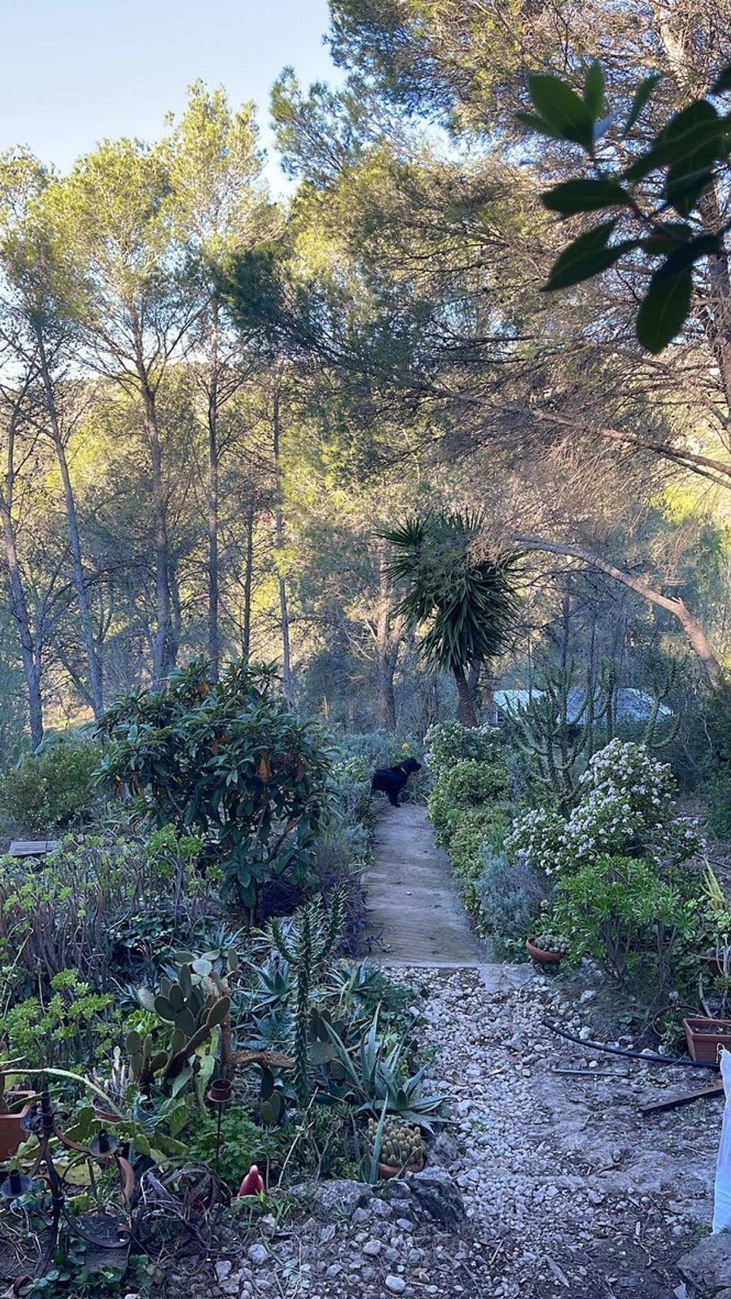 Casa terrera en calle roca s/n Sn - Foto 11