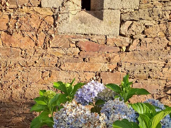 Palacio en Palacio en Monforte de Lemos - Foto 24