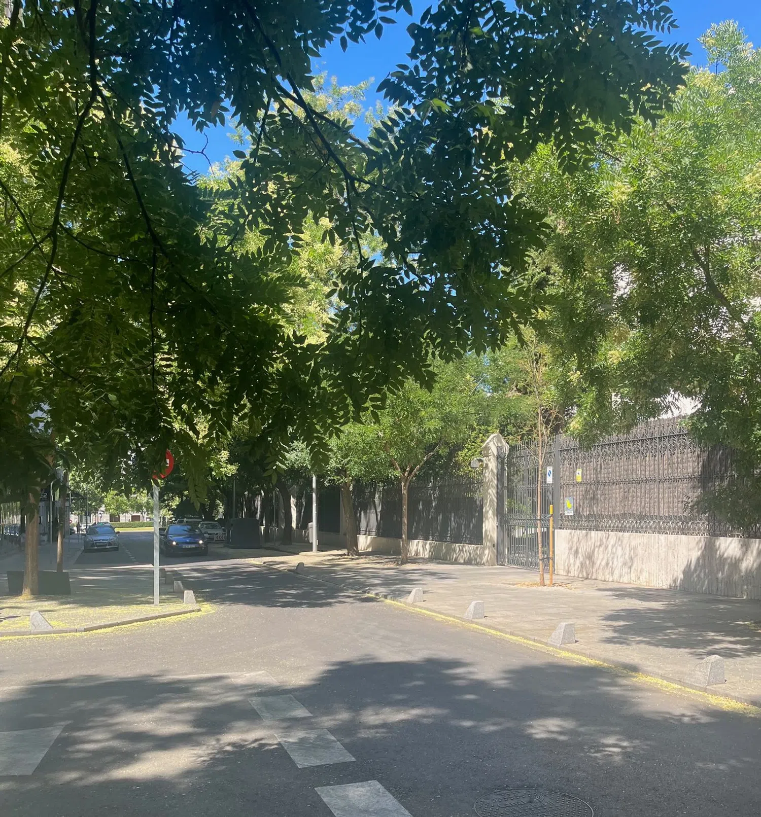 Piso en calle del Pinar, 6 Bis - Foto 12