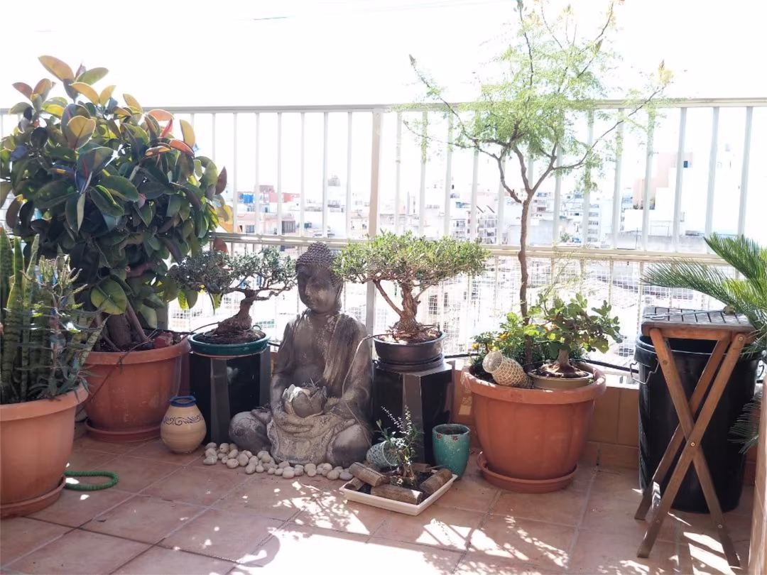 Ático en  Carrer Isidoro Antillón 11B - Foto 16