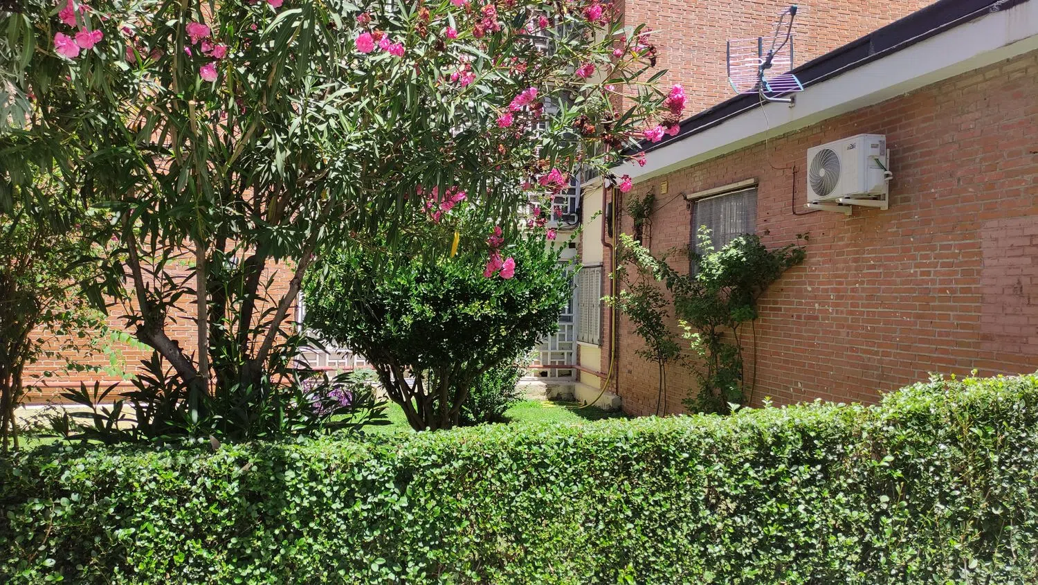 Estudio en calle Belianes, 1 - Foto 3