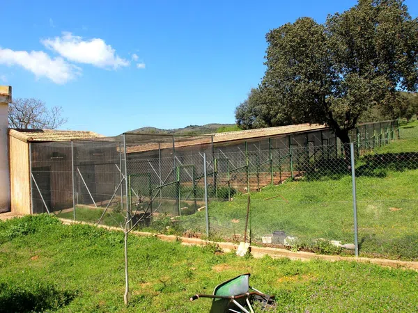 Cortijo en Cr-7021, 5 km - Foto 29