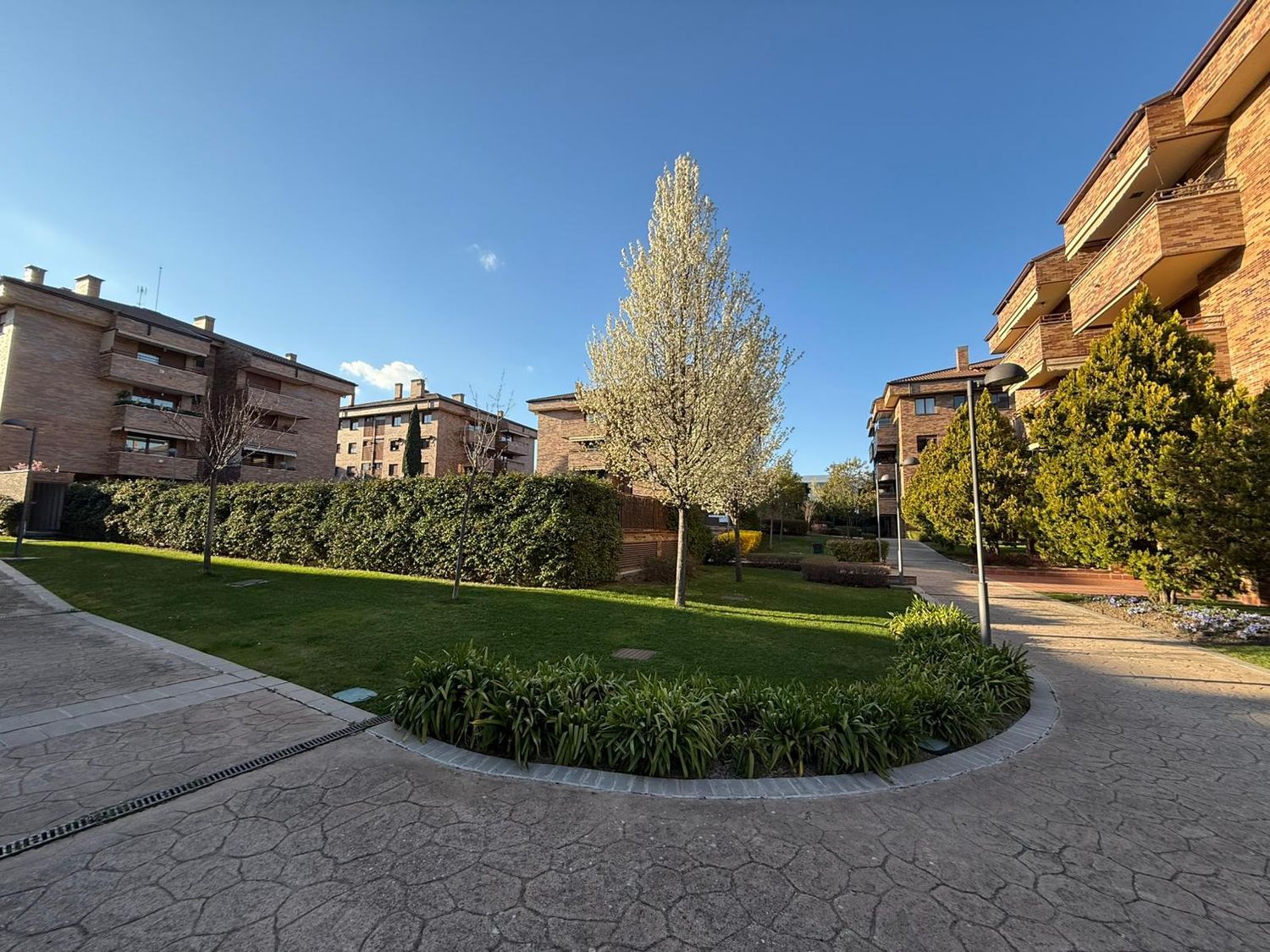 Piso en avenida Isaac Albéniz, 3 - Foto 3