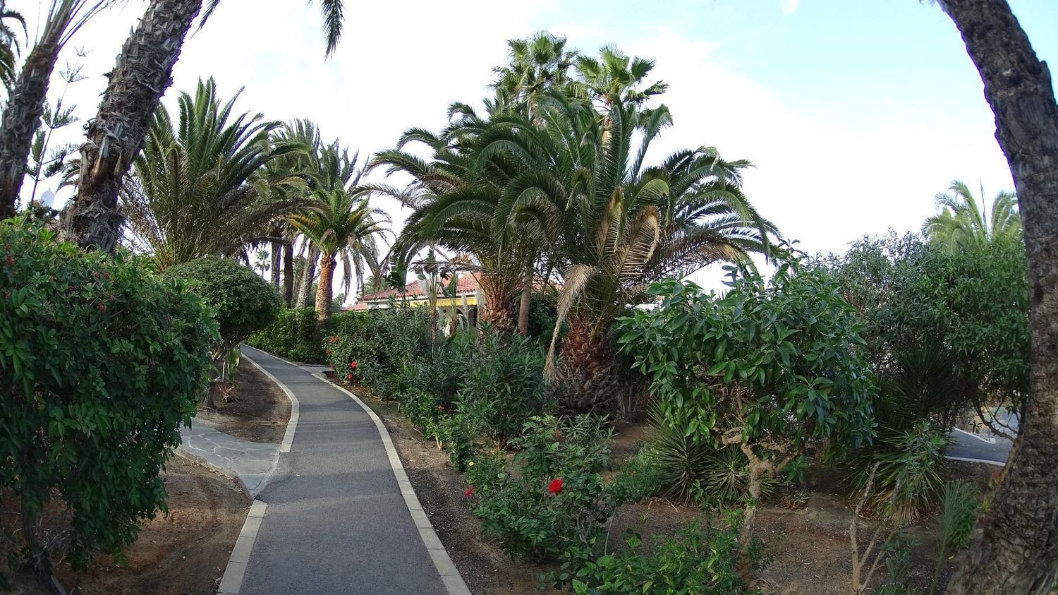 Chalet pareado en Avenida de Gran Canaria, 14 - Foto 23