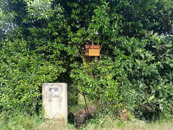 Finca rústica en Lugar Veiga, 5 - Foto 12