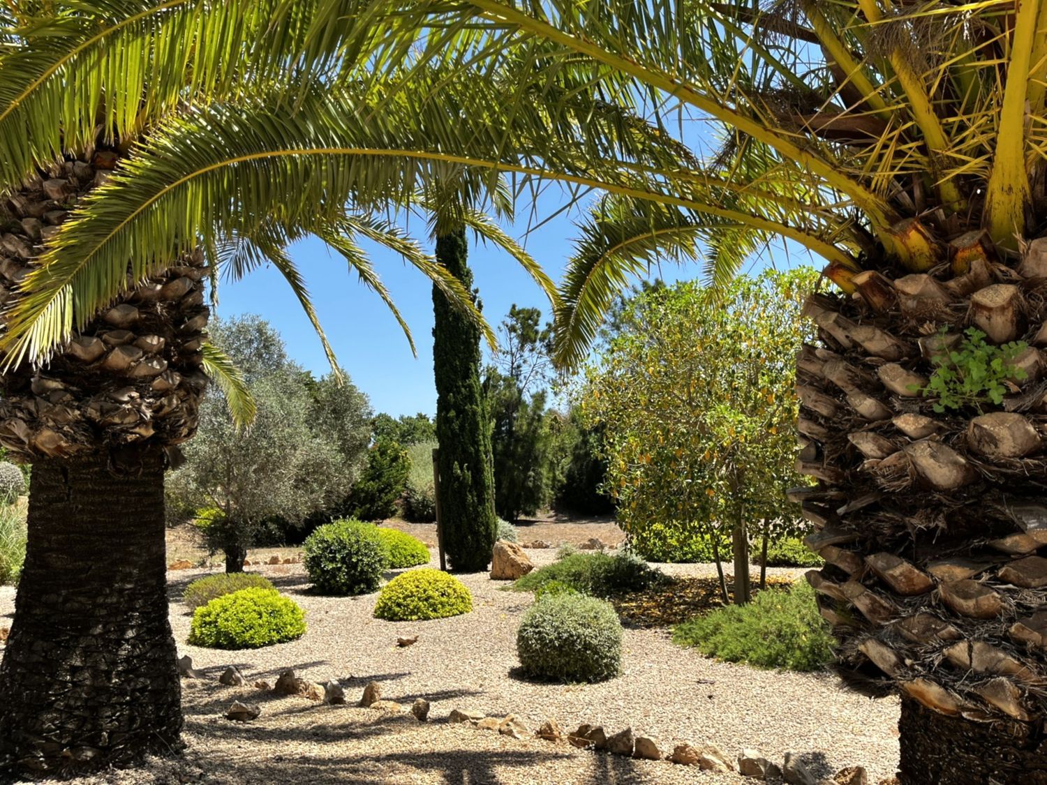 Finca rústica en Avenida de Cala Llombards, 31, Cala Llombards, Cala Llombards - Foto 21