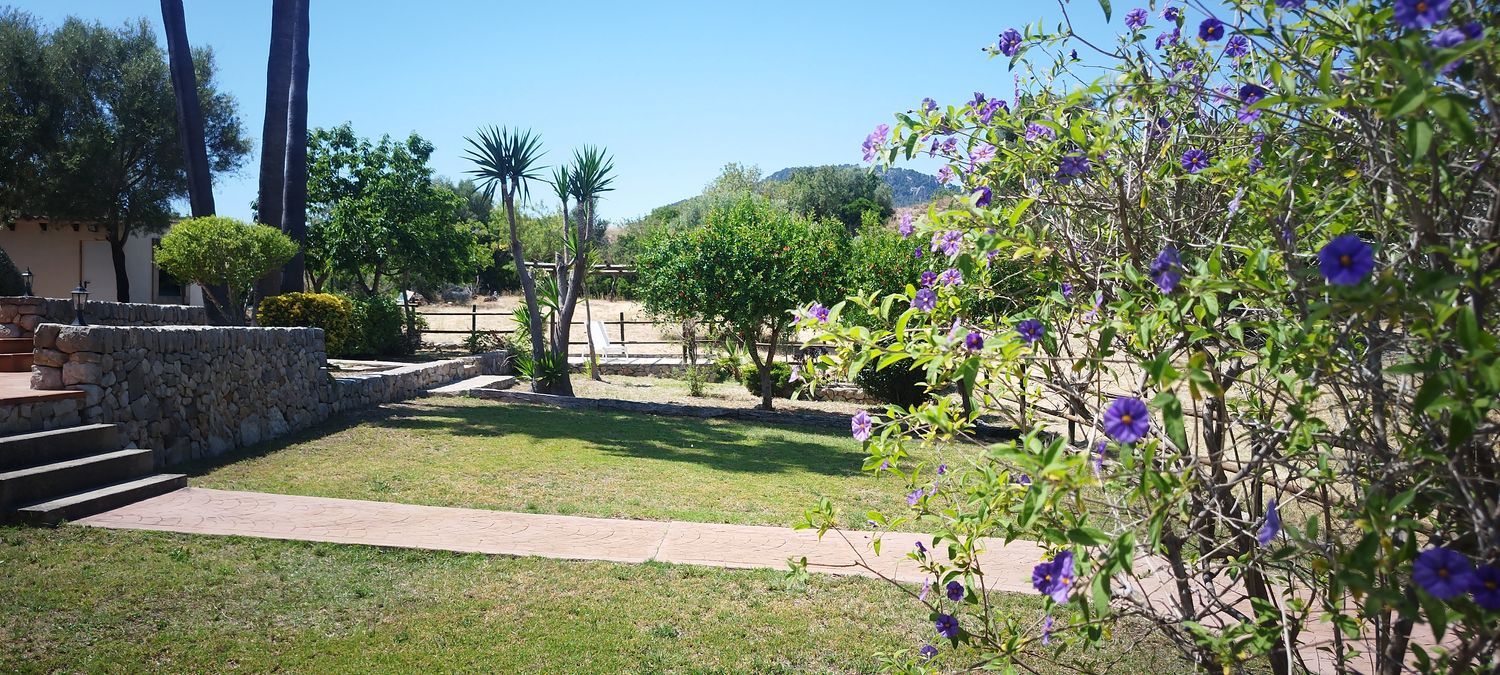 Finca rústica en Es Capdellà - Foto 17