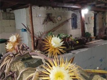 Estudio en El Desierto, Granadilla de Abona - Foto 3