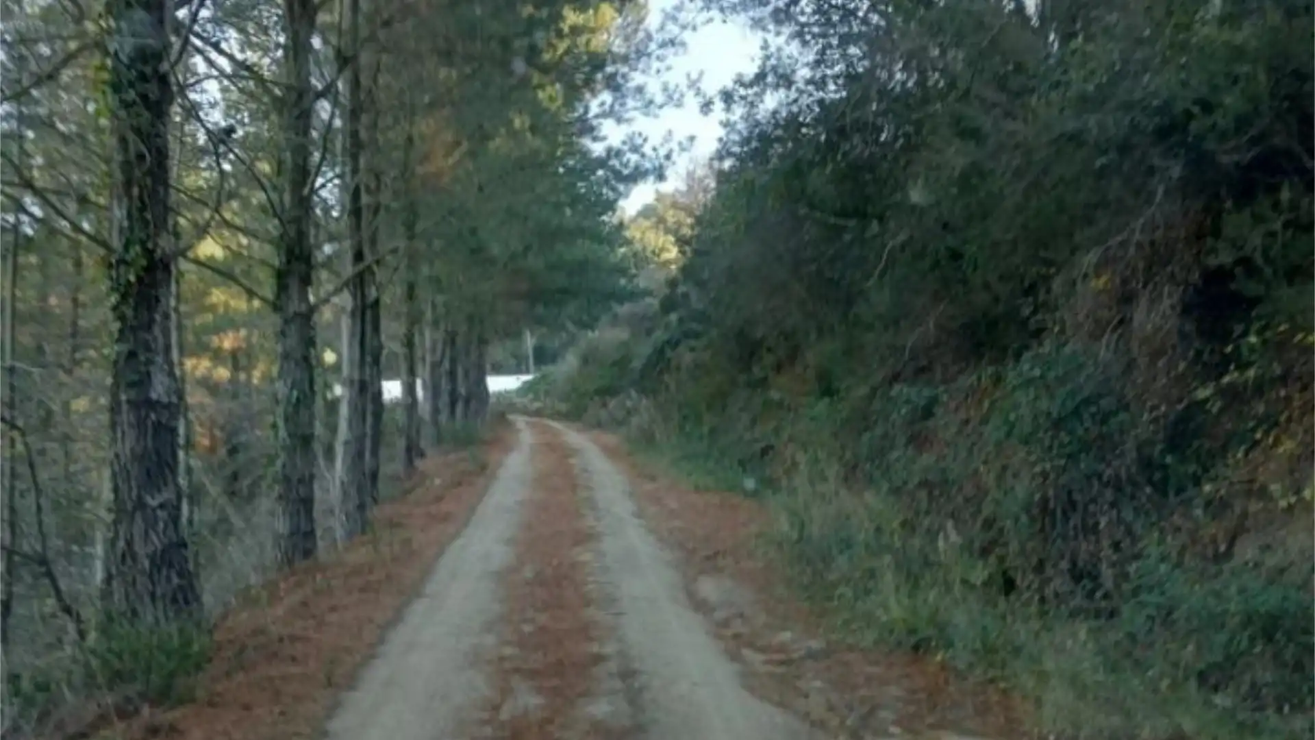 Chalet en  Carrer de Vallgorguina 8 - Foto 7