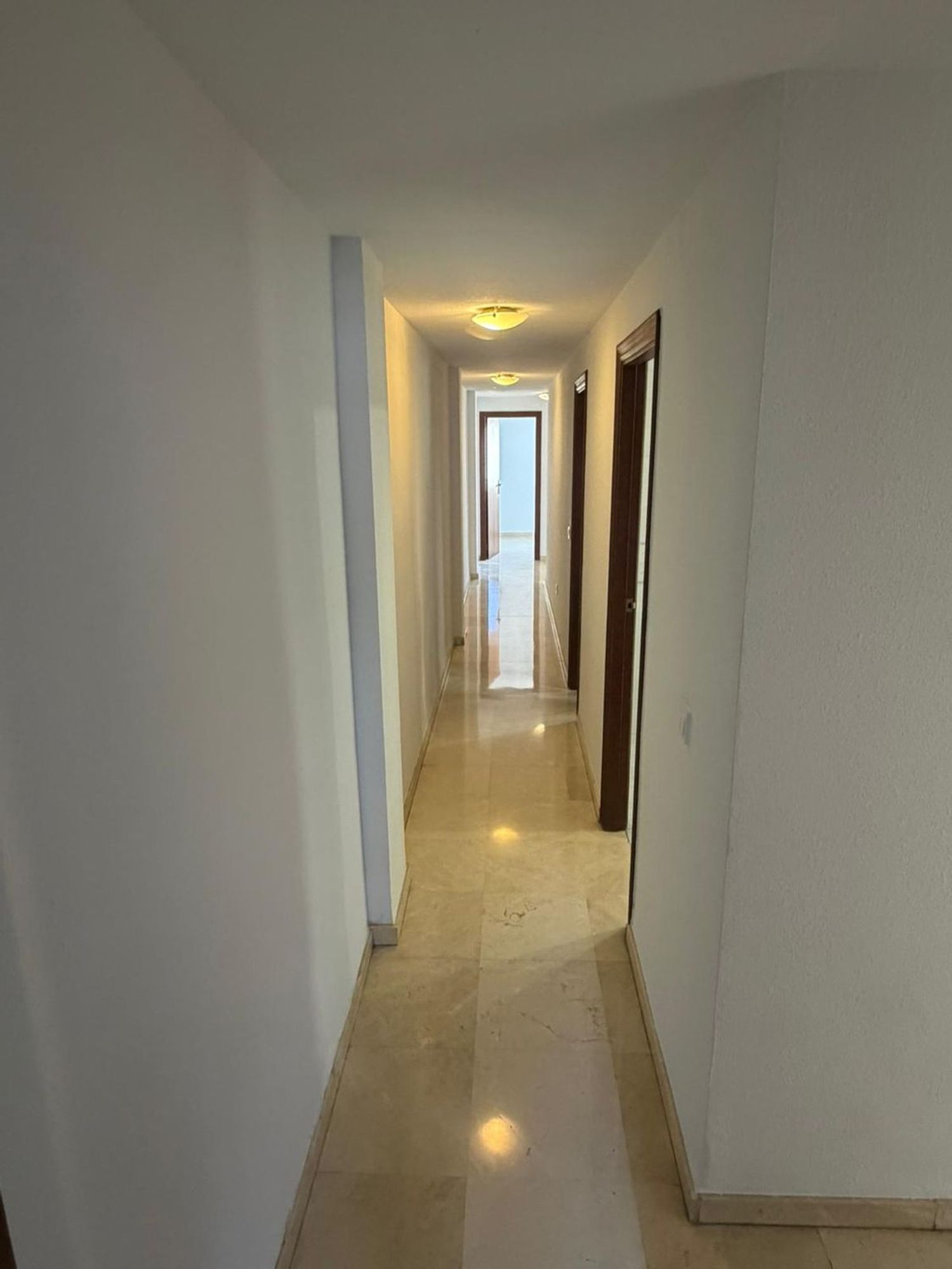 Piso en avenida Oscar Espla, 23 - Foto 15