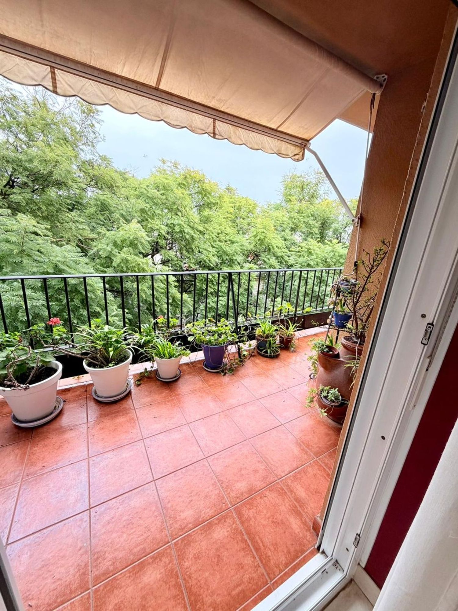 Piso en Barrio Centro - Foto 5