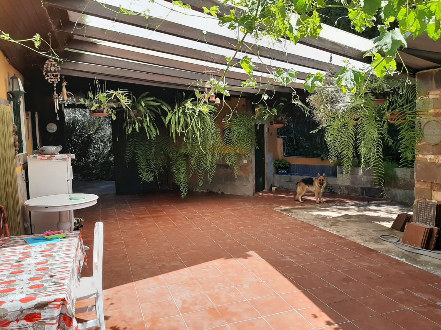 Casa terrera en Utiaca s/n - Foto 2