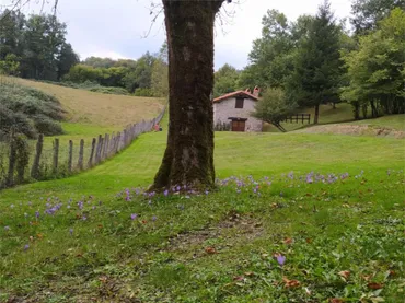 Finca rústica en Larraun - Foto 5