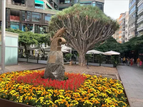 Dúplex en plaza del Chicharro, 1