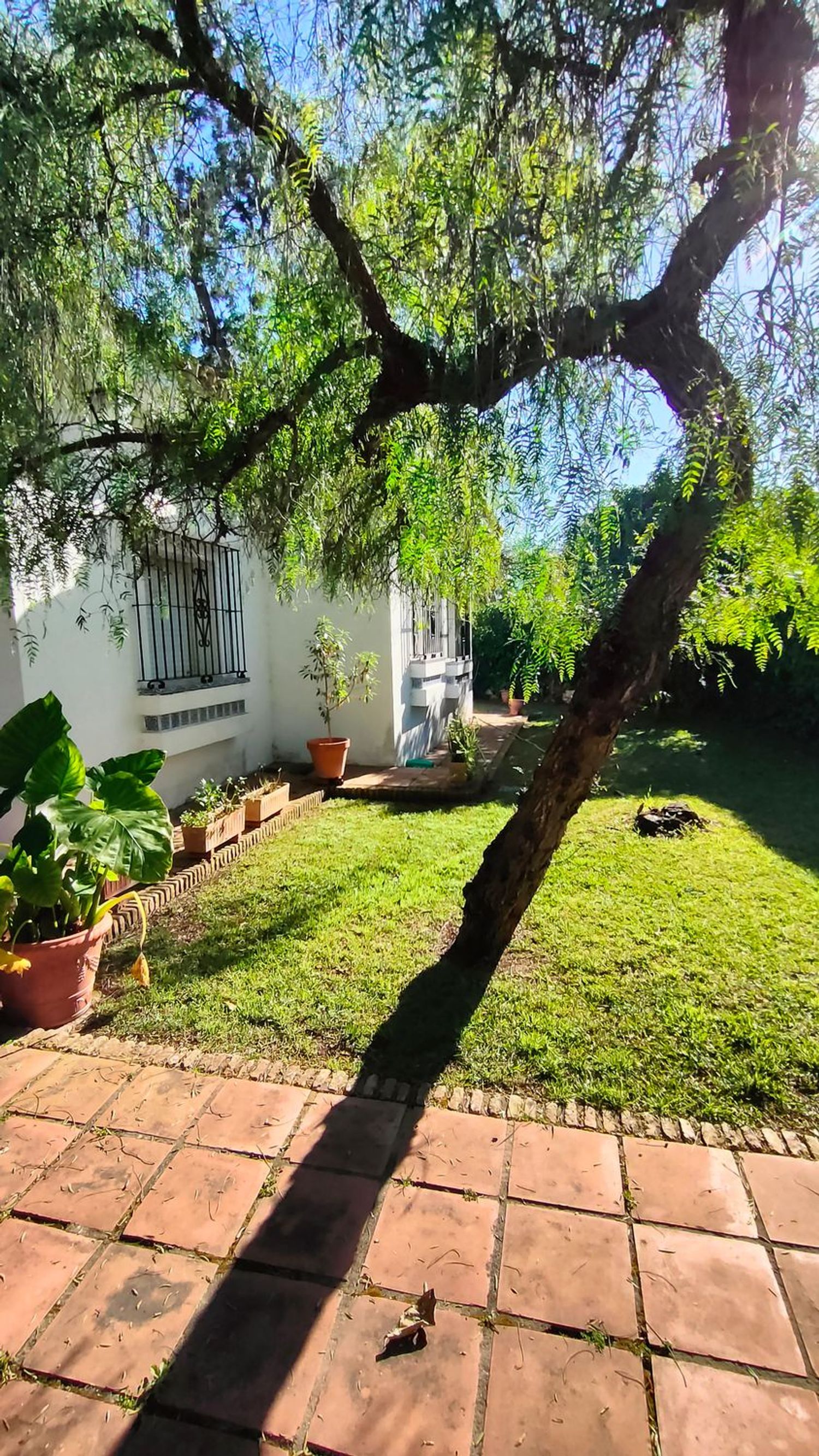 Casa o chalet independiente en Calle Abeto, 18, Vistahermosa - Foto 5