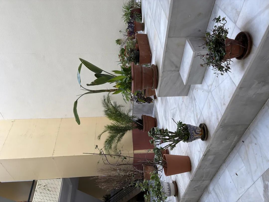 Piso en  Calle Betis 39 - Foto 3