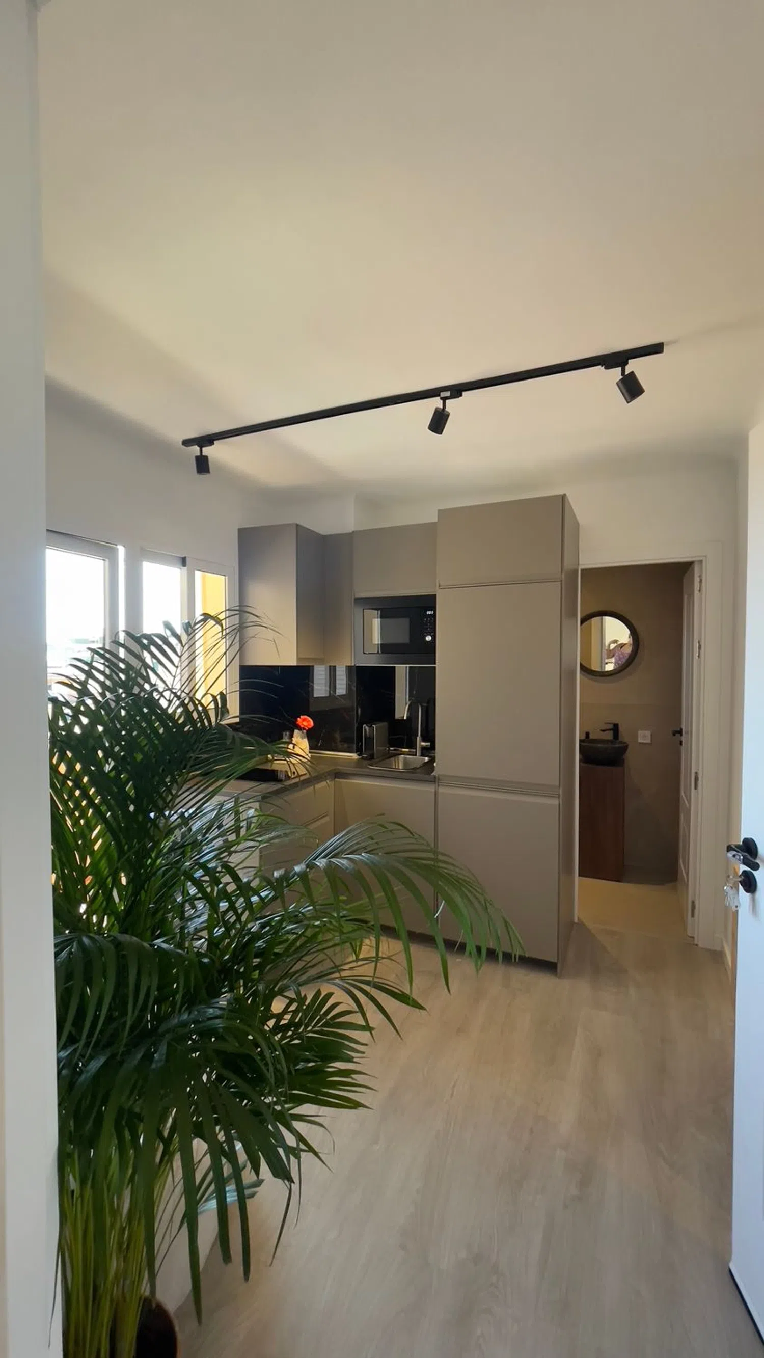 Estudio en calle de Caro, 11 - Foto 4