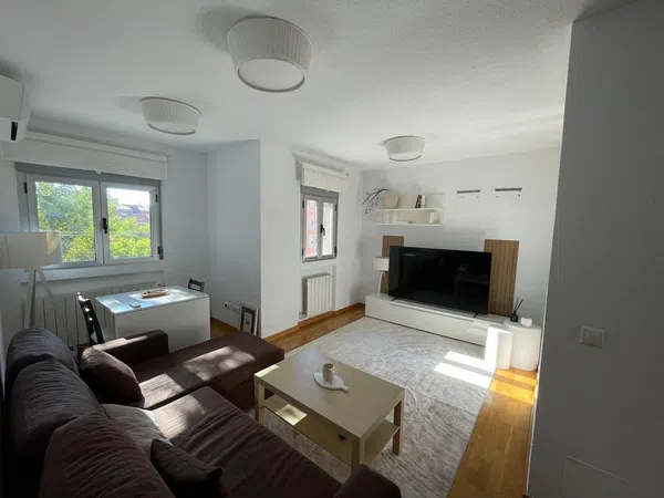 Piso en calle Pico de los Artilleros, 109