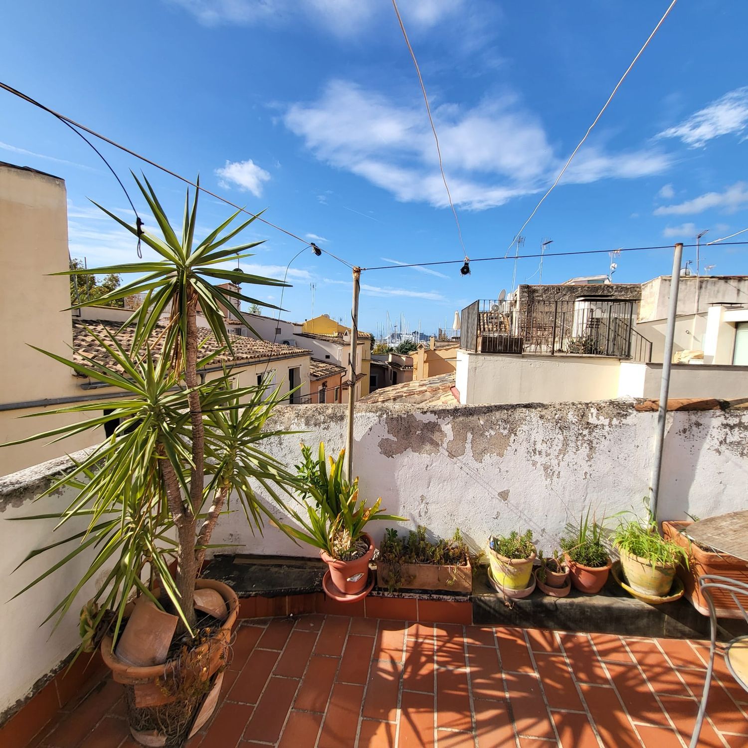 Estudio en Calle del Vi, 20, La Llotja - Foto 17