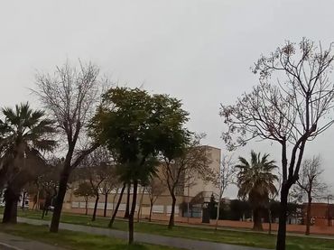 Finca rústica en  Calle Álvarez Quintero 166 - Foto 1