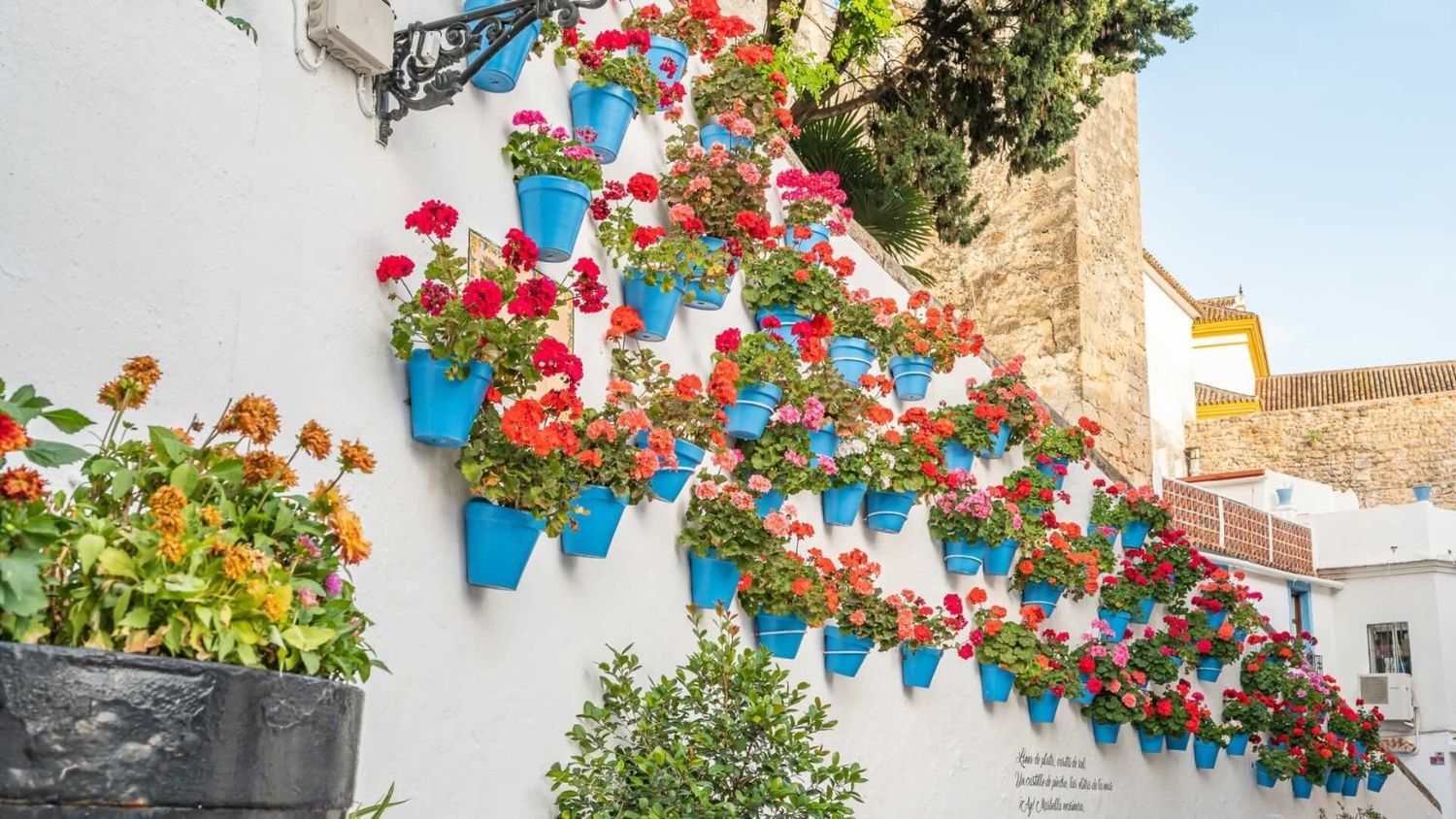Casa independiente en Barrio Linda Vista-Nueva Alcántara-Cortijo Blanco - Foto 39